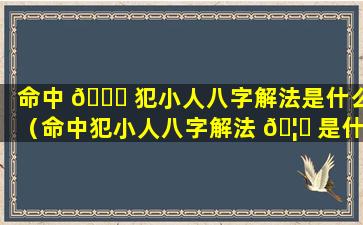 命中 💐 犯小人八字解法是什么（命中犯小人八字解法 🦁 是什么意思啊）